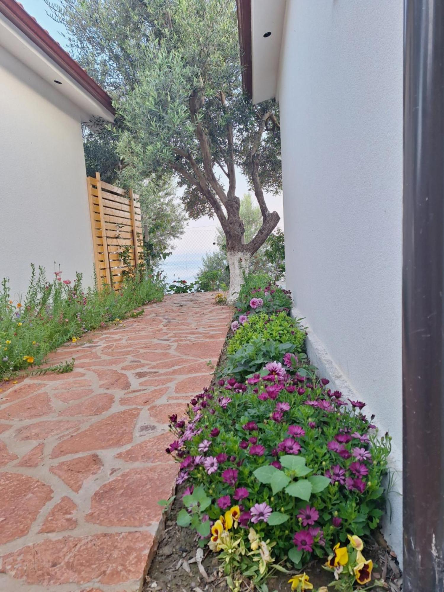 Apartment Kulkoce
